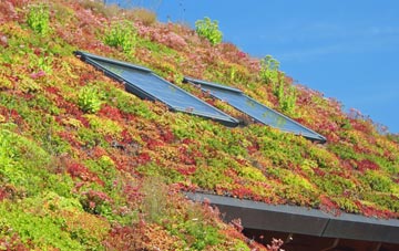 Clogher living roof systems